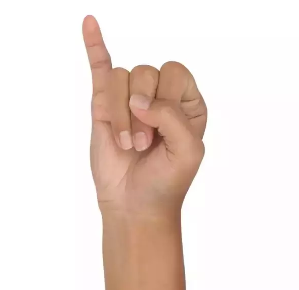 ⚜